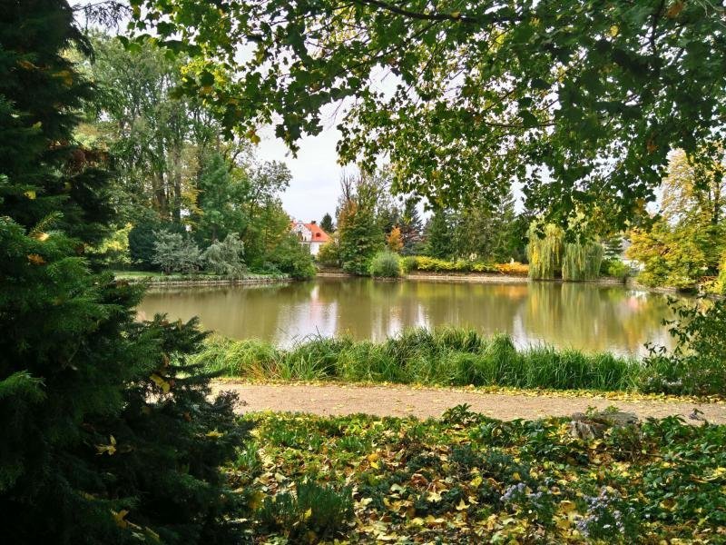 Ciszterci Apátság Arborétum, Zirc