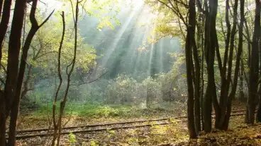 Cuha-völgy, Bakonyszentlászló