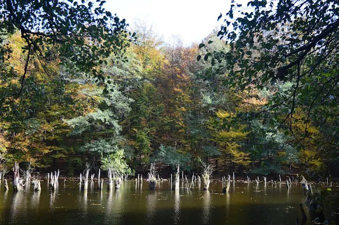 Hubertlaki-tó, Bakonybél
